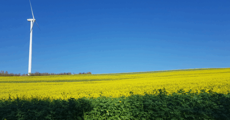 Windkraft im Landkreis: Verantwortung für Klima, Natur und kommende Generationen